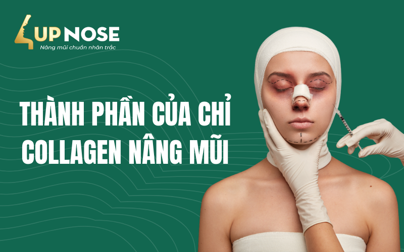 Thành phần của chỉ Collagen nâng mũi
