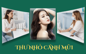 thu nhỏ cánh mũi giá bao nhiêu